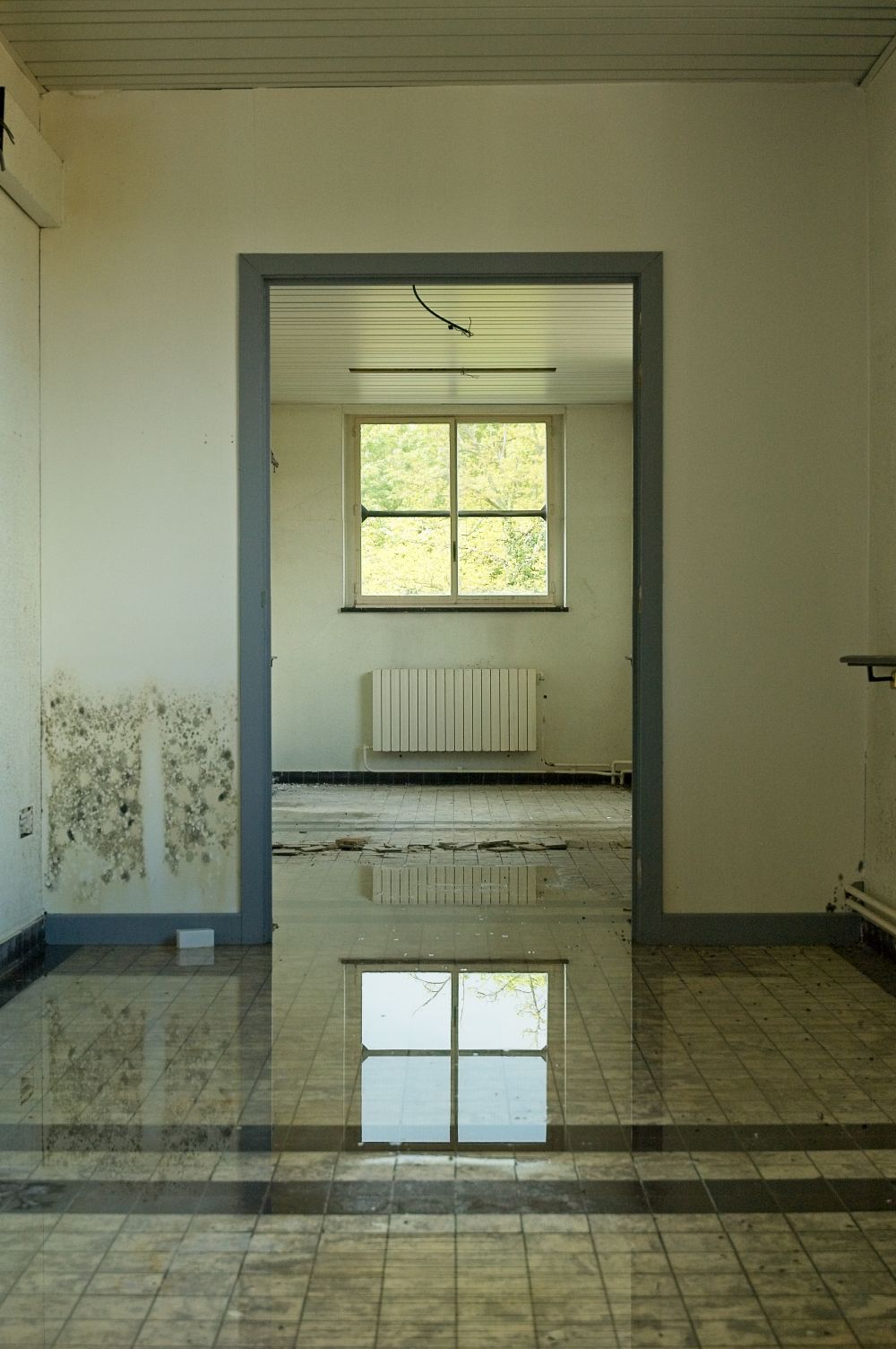 Flood Damage Cleanup